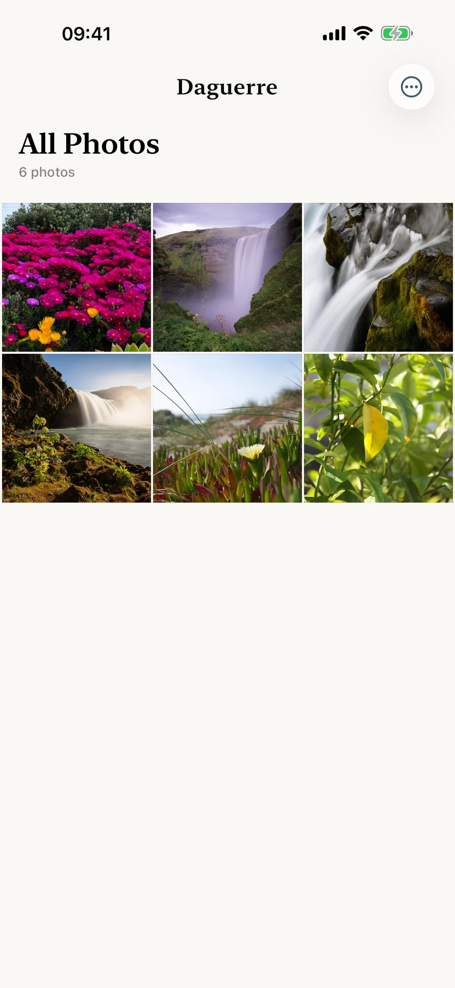 Daguerre photo grid browsing an album