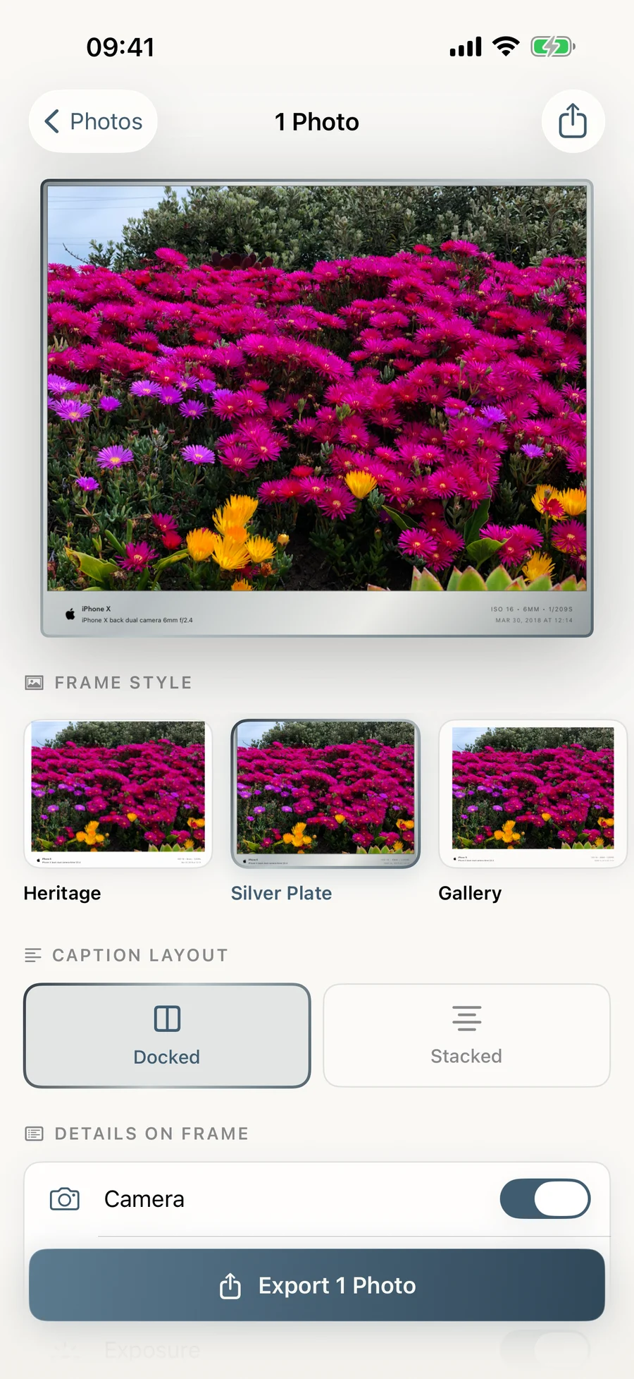 Daguerre frame editor with EXIF caption controls